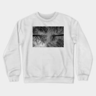 Reaching Trees 1 Crewneck Sweatshirt